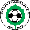 home team logo