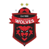 home team logo