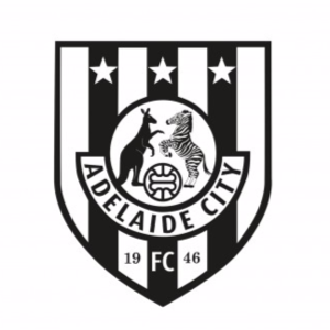 away team logo