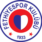 home team logo