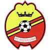 home team logo