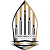 home team logo