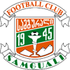 away team logo