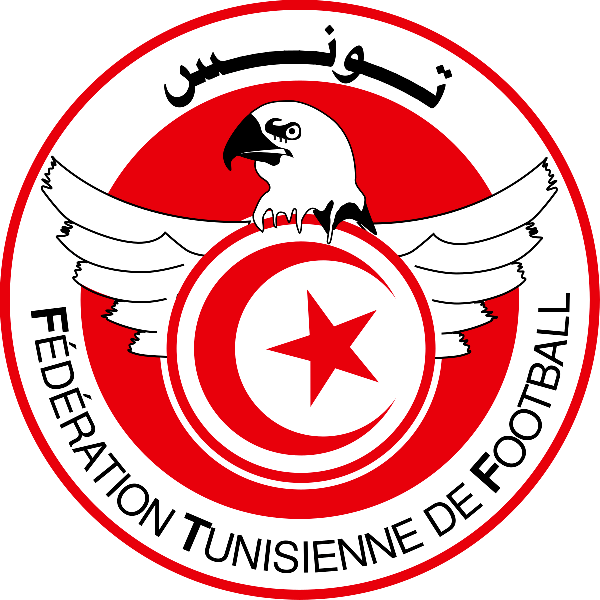 home team logo