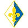 home team logo
