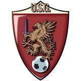 home team logo