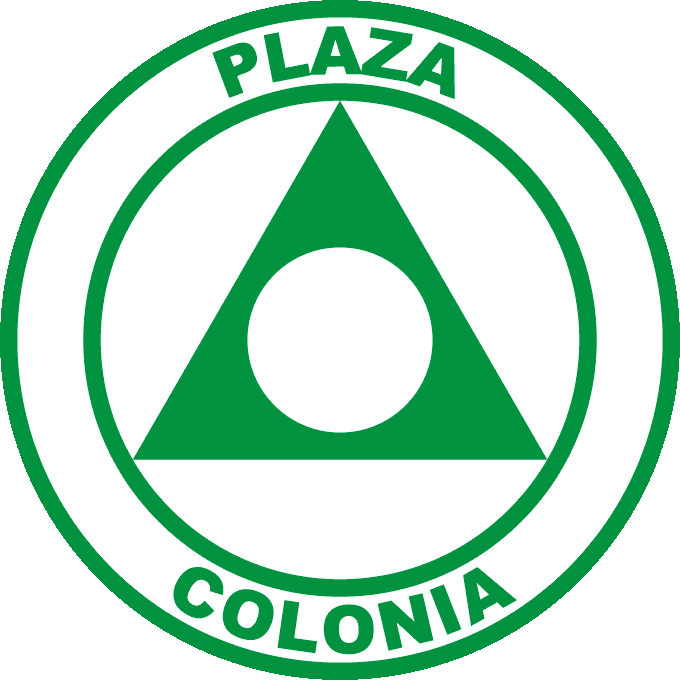 home team logo