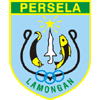 home team logo