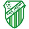 home team logo
