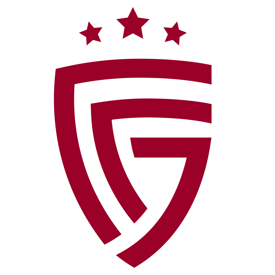 home team logo