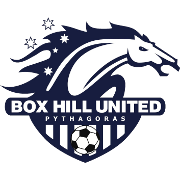 home team logo