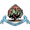 away team logo