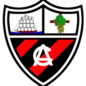 home team logo