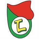 home team logo