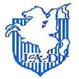 home team logo