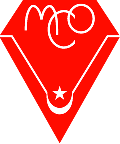 home team logo