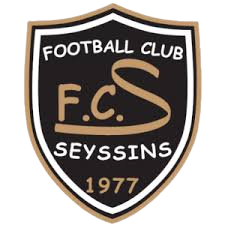 home team logo