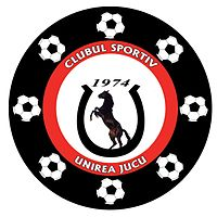 home team logo