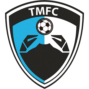 home team logo