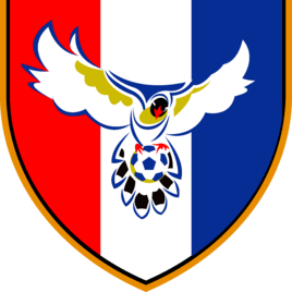 home team logo
