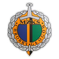 home team logo
