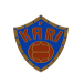 home team logo