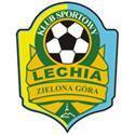 home team logo