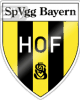 home team logo