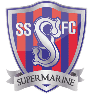 home team logo