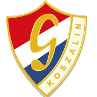 home team logo