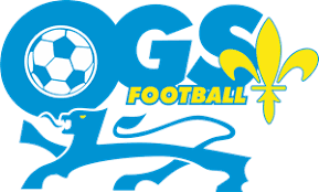 home team logo