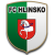 home team logo