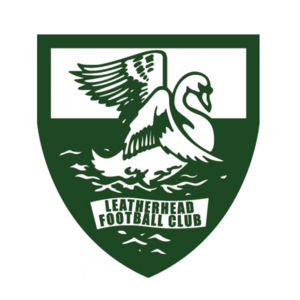 home team logo