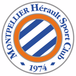 home team logo