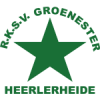 home team logo