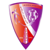 home team logo