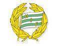 home team logo