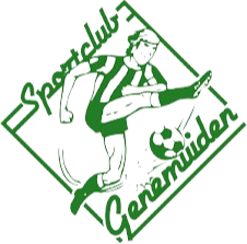 home team logo