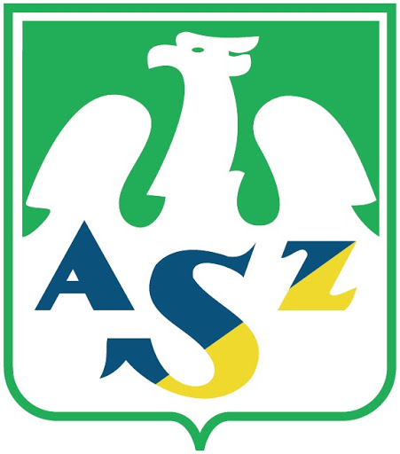 home team logo