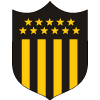 home team logo