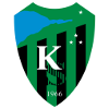 home team logo