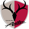 home team logo