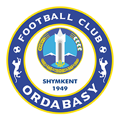 home team logo