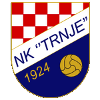 home team logo