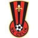 home team logo