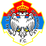 home team logo