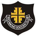 home team logo