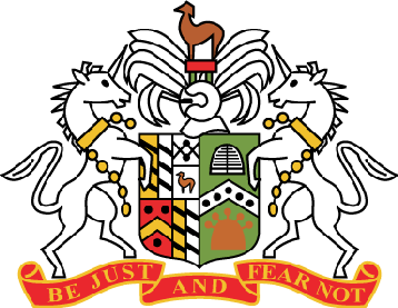 home team logo
