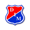 home team logo