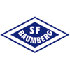 home team logo